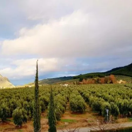 Belvilla By Oyo In A Country Estate Antequera