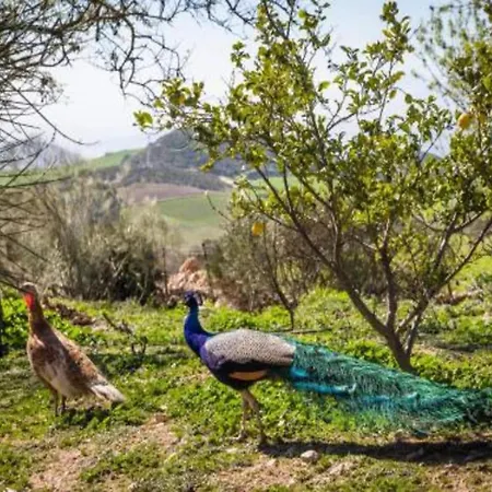 Belvilla By Oyo In A Country Estate * Antequera